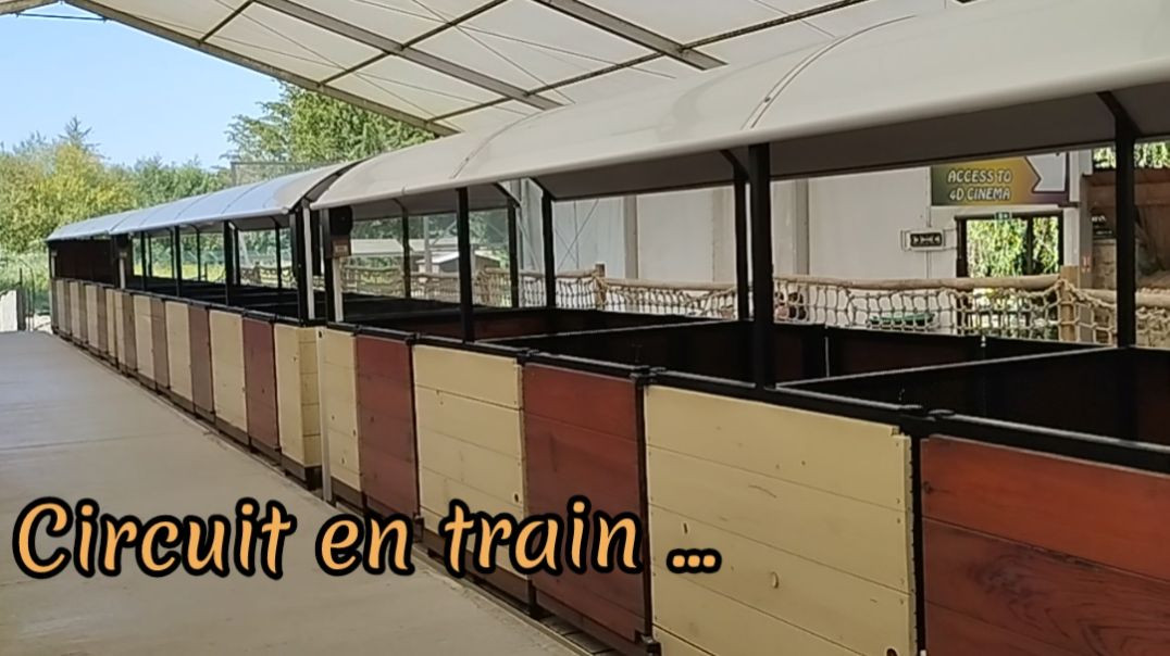 🚂 Parc Des Félins - Parcours en train - Lundi 12 août 2024