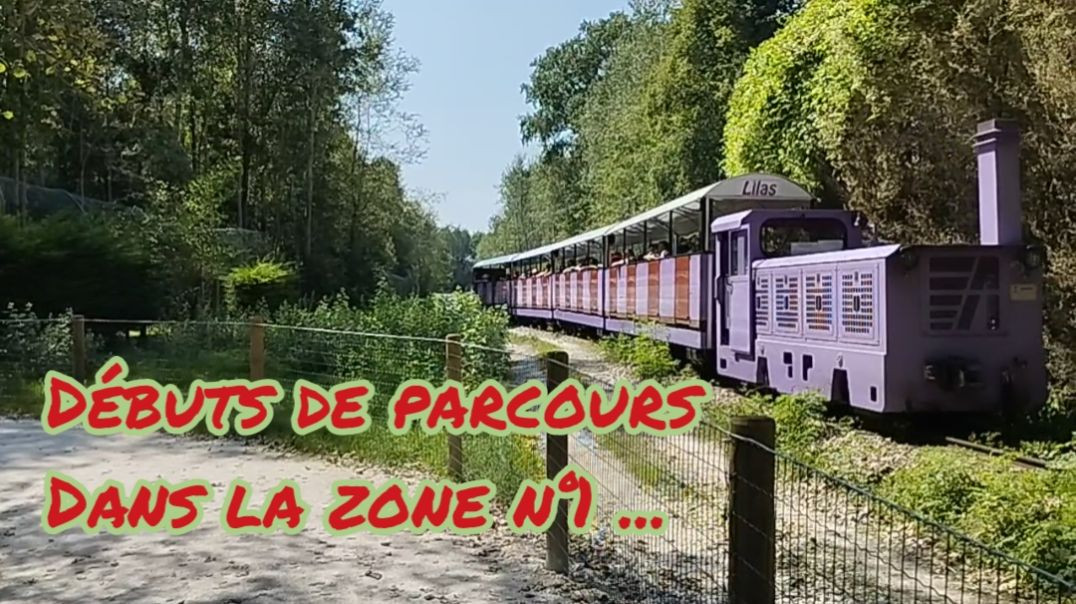 Parc Des Félins - Parcours dans la zone n°1 -  Lundi 12 août 2024