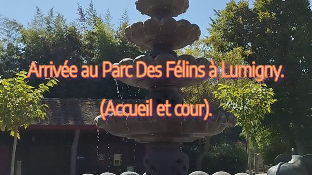 Arrivée au Parc Des Félins à Lumigny - Bâtiment et cour d'accueil